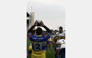 IMG_3389.JPG