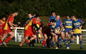 IMG_4084.JPG