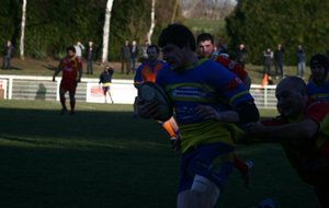 IMG_4087.JPG