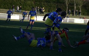 IMG_4094.JPG