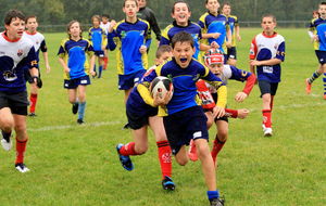 50772a1d50061_IMG_5091.JPG