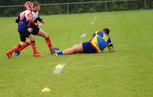 50772aa8621b8_IMG_5115.JPG