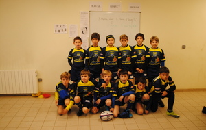 5288a8aca6a8f_sqypoussins16.11.13005.JPG