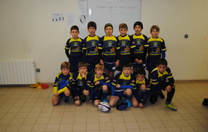 5288a95e1da83_sqypoussins16.11.13007.JPG