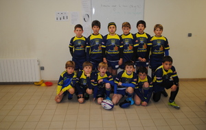 5288a99f3bdb2_sqypoussins16.11.13008.JPG
