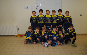 5288a9e03c60d_sqypoussins16.11.13009.JPG