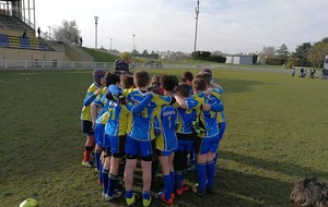 Compétitions Régionales - 1ère journée  U8-U10-U12